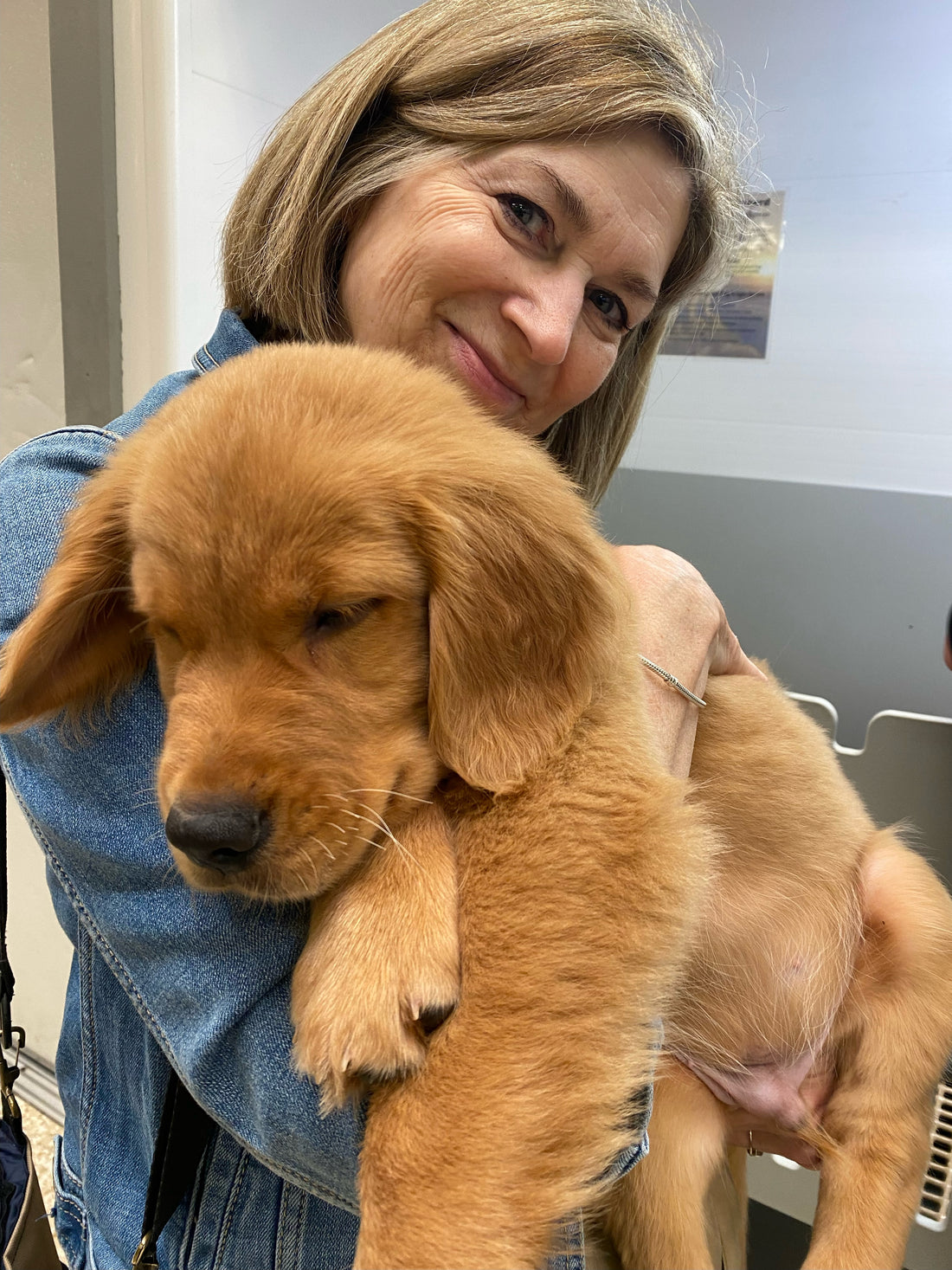 Woman holding a golden retriever puppy